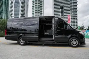 Executive Limousine Service